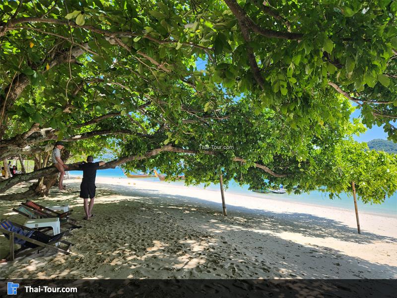 แหลมหินหน้าหาด Island Escape Burasari