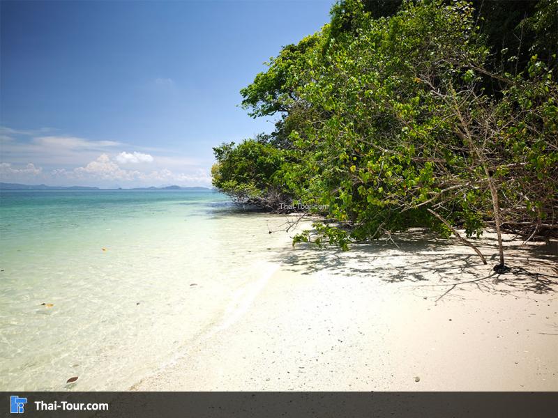 ด้านหน้าหาดของ เกาะรังใหญ่