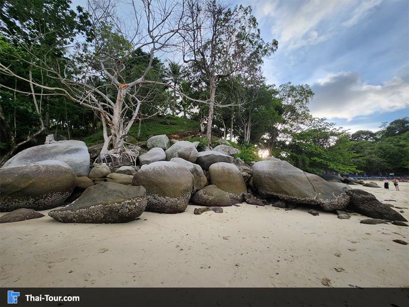 หาดพาราไดซ์