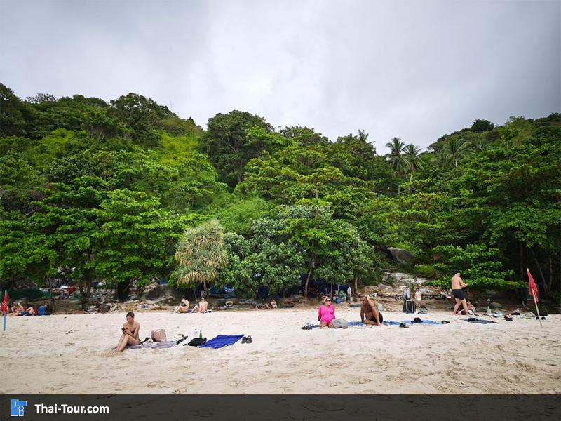 หาดฟรีด้อม