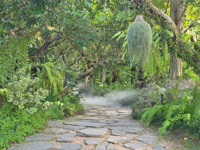 บรรยากาศ The For Rest cafe