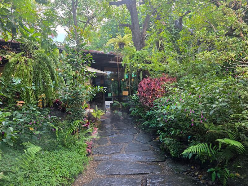 บรรยากาศ The For Rest cafe