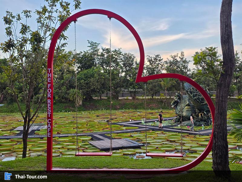 บรรยากาศของนาบัวยักษ์