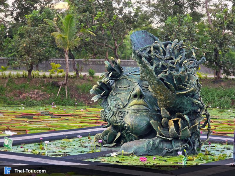 บรรยากาศของนาบัวยักษ์