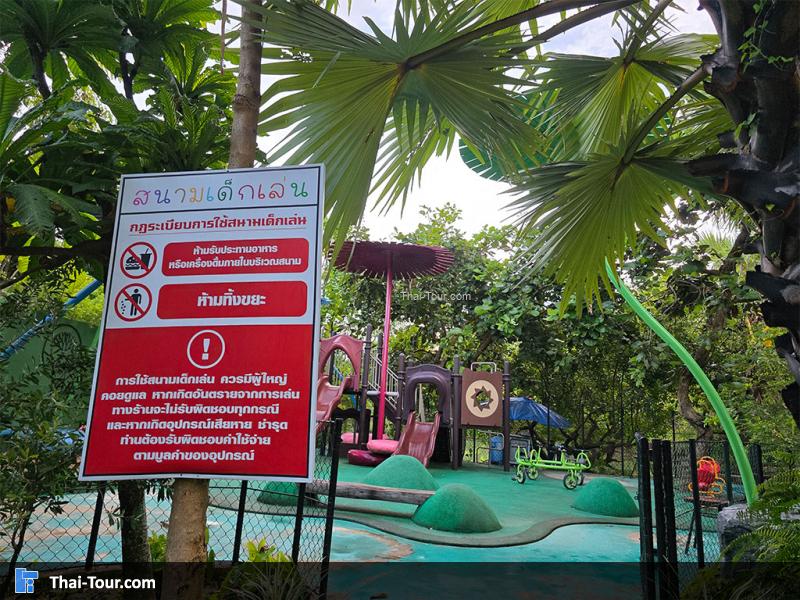 บรรยากาศของนาบัวยักษ์