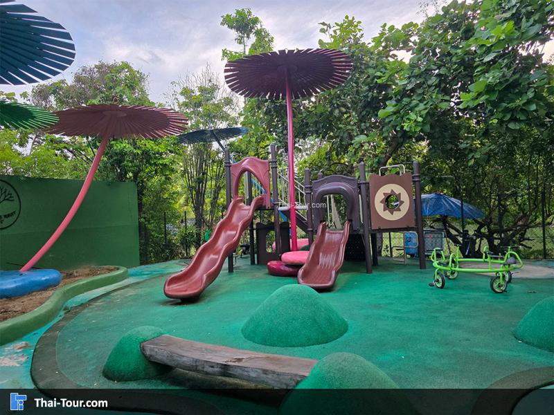 บรรยากาศของนาบัวยักษ์