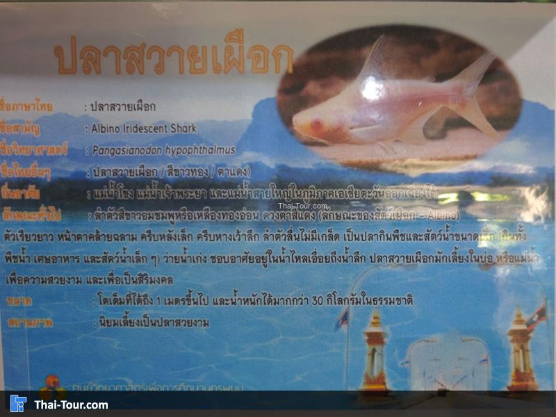 ศูนย์วิทยาศาสตร์เพื่อการศึกษานครพนม