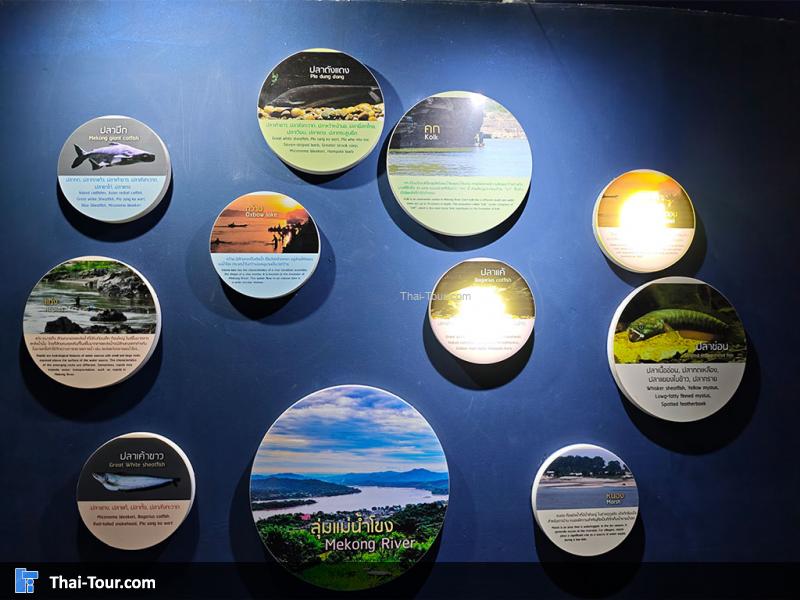 ศูนย์วิทยาศาสตร์เพื่อการศึกษานครพนม