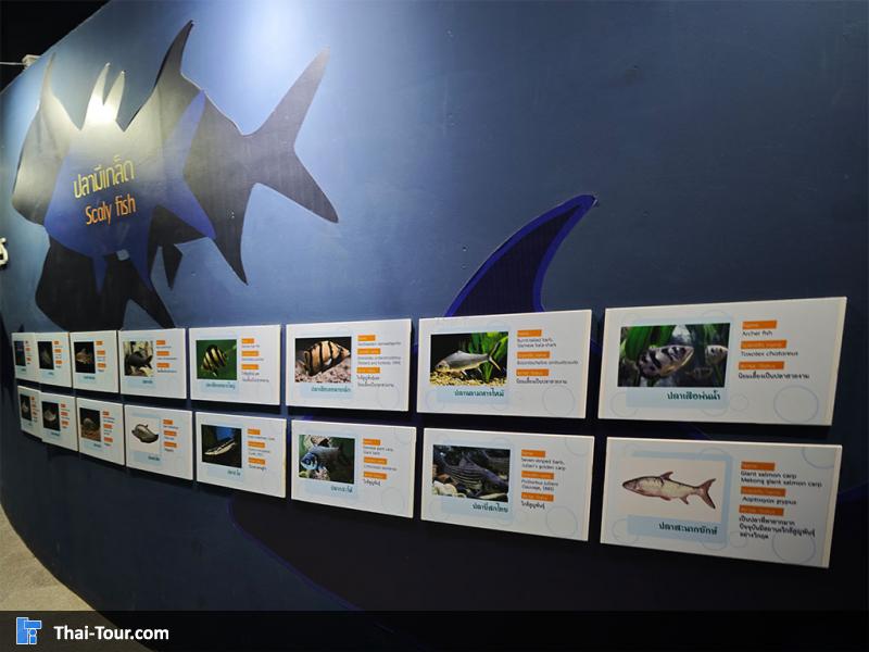 ศูนย์วิทยาศาสตร์เพื่อการศึกษานครพนม