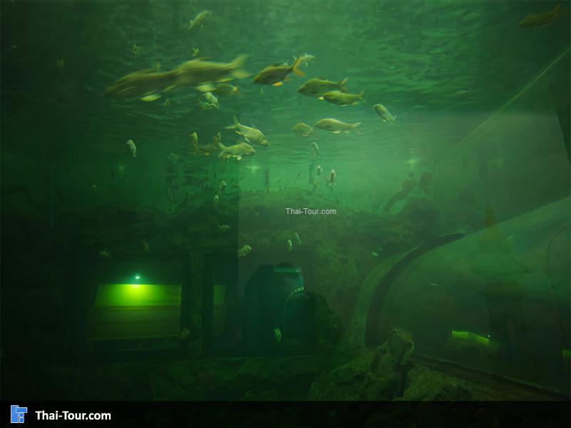 อุโมงค์ ศูนย์วิทยาศาสตร์เพื่อการศึกษานครพนม