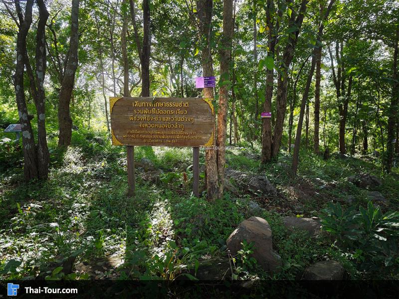 บรรยากาศ น้ำตกเฒ่าโต้