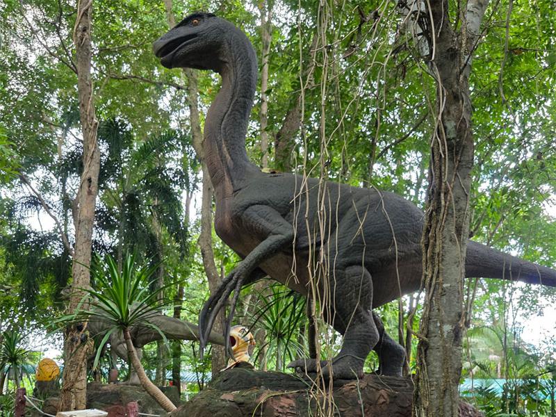 บรรยากาศ พิพิธภัณฑ์หอยหิน 150 ล้านปีและไดโนเสาร์โนนทัน