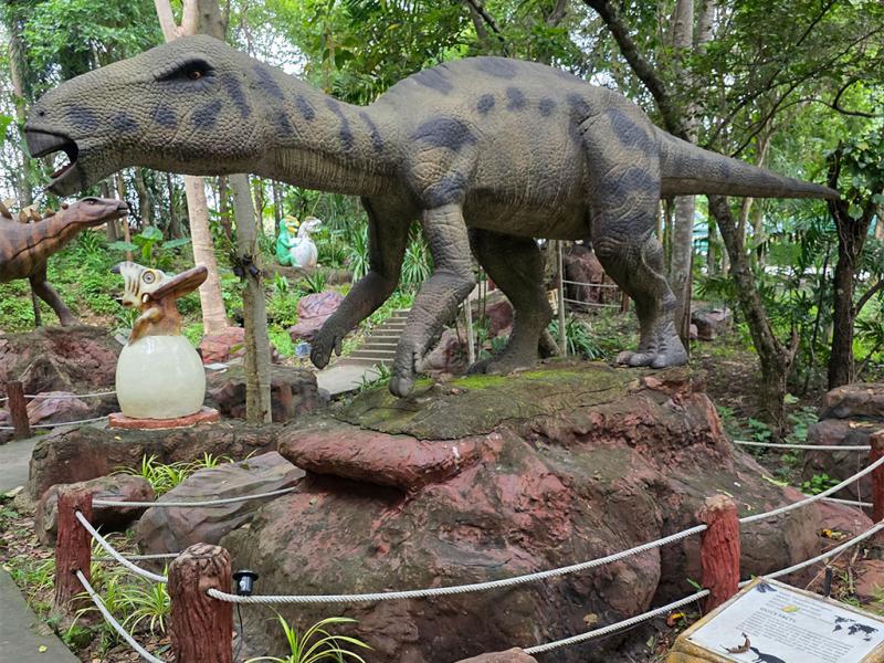 บรรยากาศ พิพิธภัณฑ์หอยหิน 150 ล้านปีและไดโนเสาร์โนนทัน