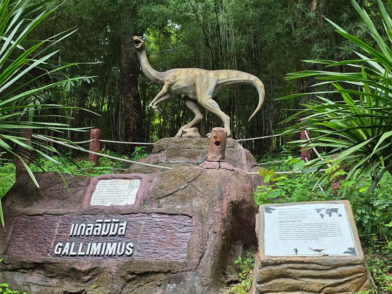 บรรยากาศ พิพิธภัณฑ์หอยหิน 150 ล้านปีและไดโนเสาร์โนนทัน