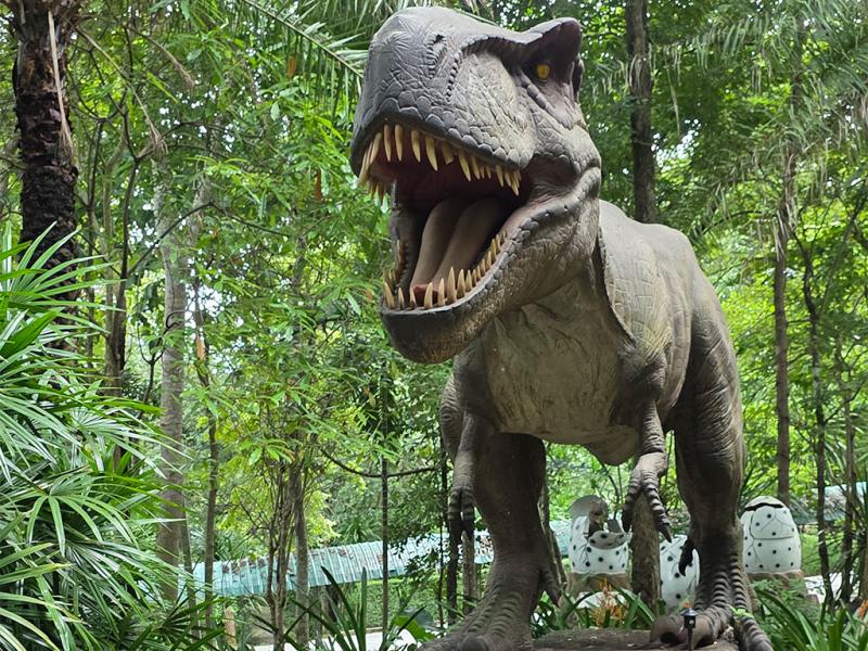 บรรยากาศ พิพิธภัณฑ์หอยหิน 150 ล้านปีและไดโนเสาร์โนนทัน