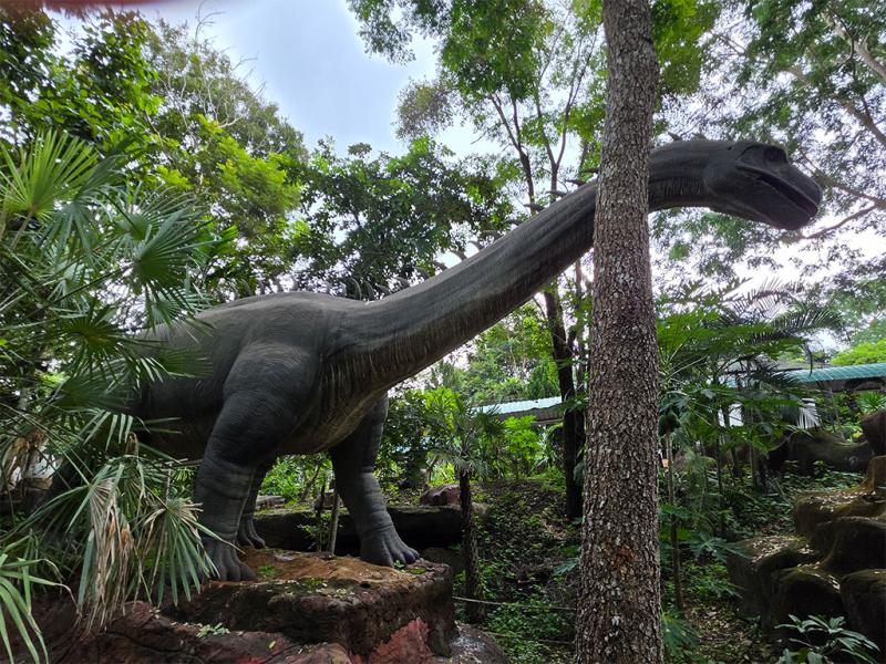 บรรยากาศ พิพิธภัณฑ์หอยหิน 150 ล้านปีและไดโนเสาร์โนนทัน