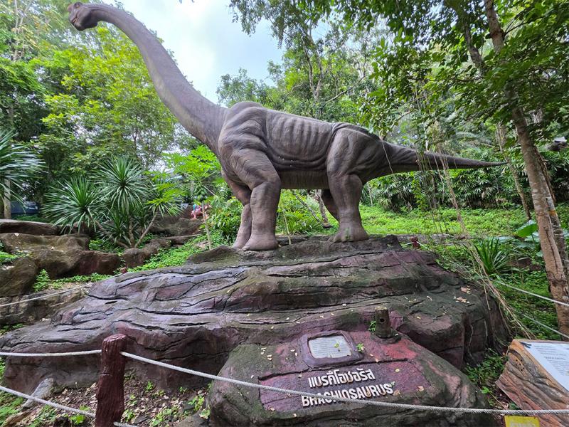 บรรยากาศ พิพิธภัณฑ์หอยหิน 150 ล้านปีและไดโนเสาร์โนนทัน