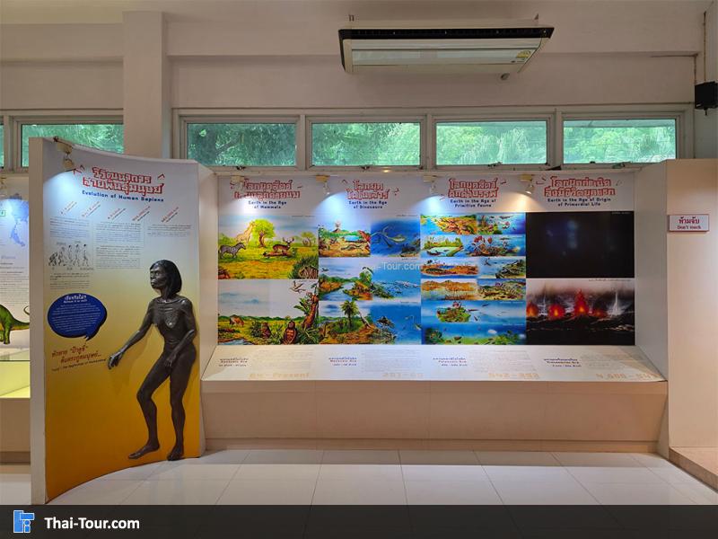 พิพิธภัณฑ์หอยหิน 150 ล้านปีและไดโนเสาร์โนนทัน