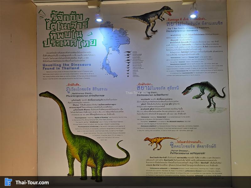 กระดูก พิพิธภัณฑ์หอยหิน 150 ล้านปีและไดโนเสาร์โนนทัน
