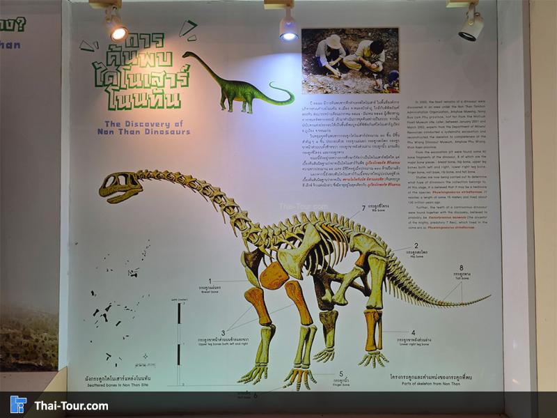 พิพิธภัณฑ์หอยหิน 150 ล้านปีและไดโนเสาร์โนนทัน