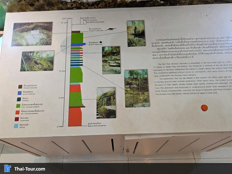 กระดูก พิพิธภัณฑ์หอยหิน 150 ล้านปีและไดโนเสาร์โนนทัน