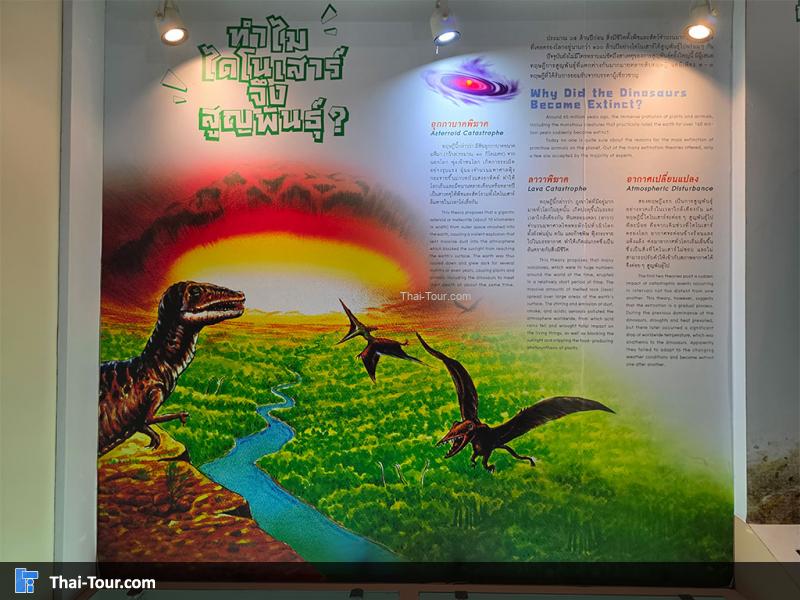 พิพิธภัณฑ์หอยหิน 150 ล้านปีและไดโนเสาร์โนนทัน