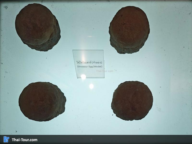 พิพิธภัณฑ์หอยหิน 150 ล้านปีและไดโนเสาร์โนนทัน