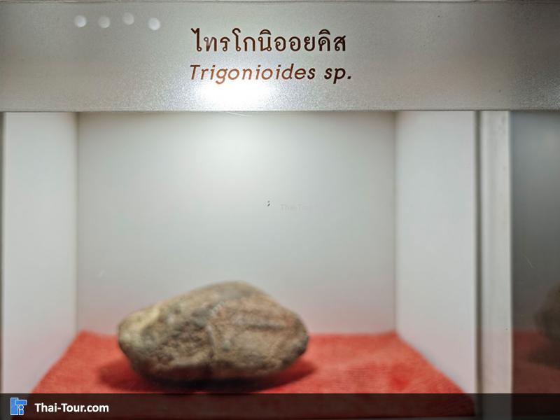 หินชนิดต่าง ๆ