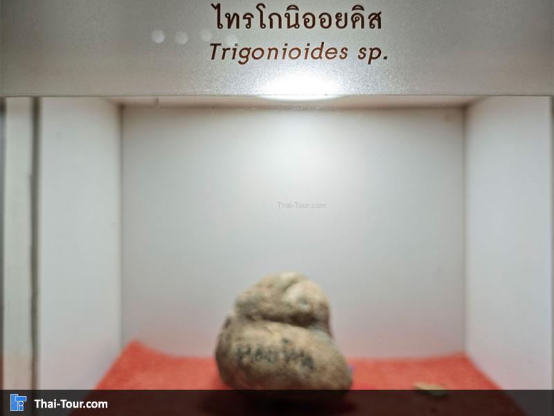 หินชนิดต่าง ๆ