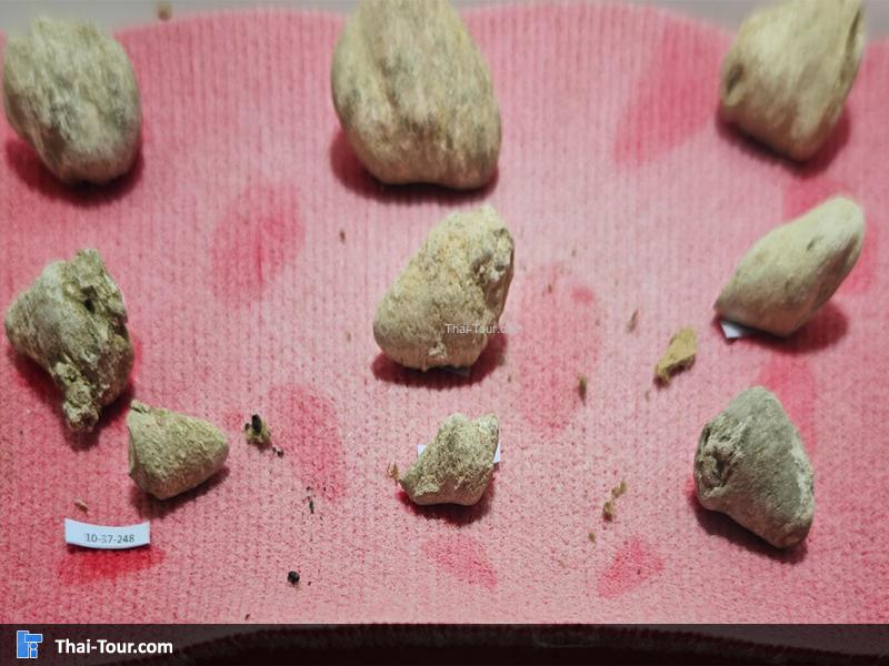 หินชนิดต่าง ๆ