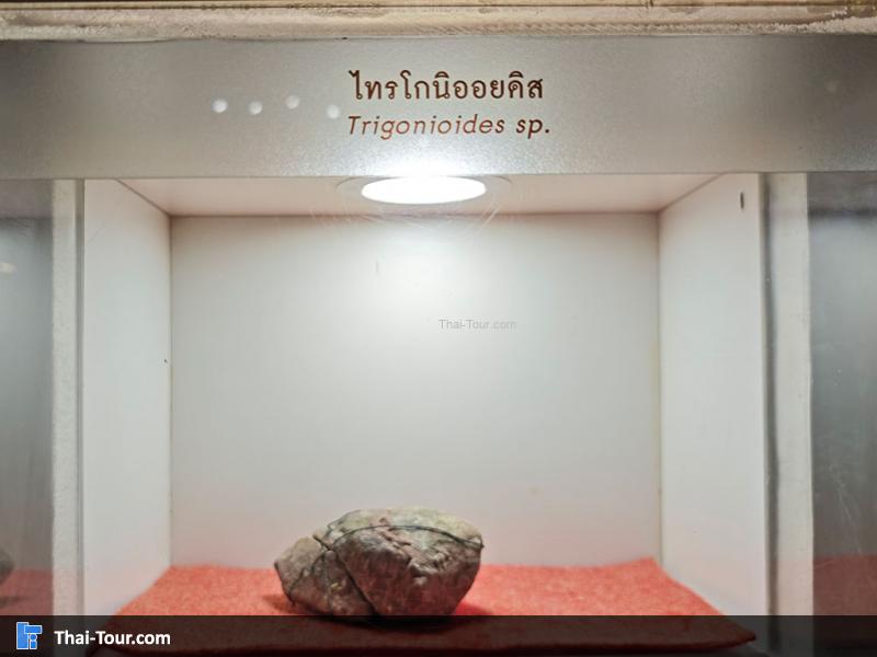 หินชนิดต่าง ๆ