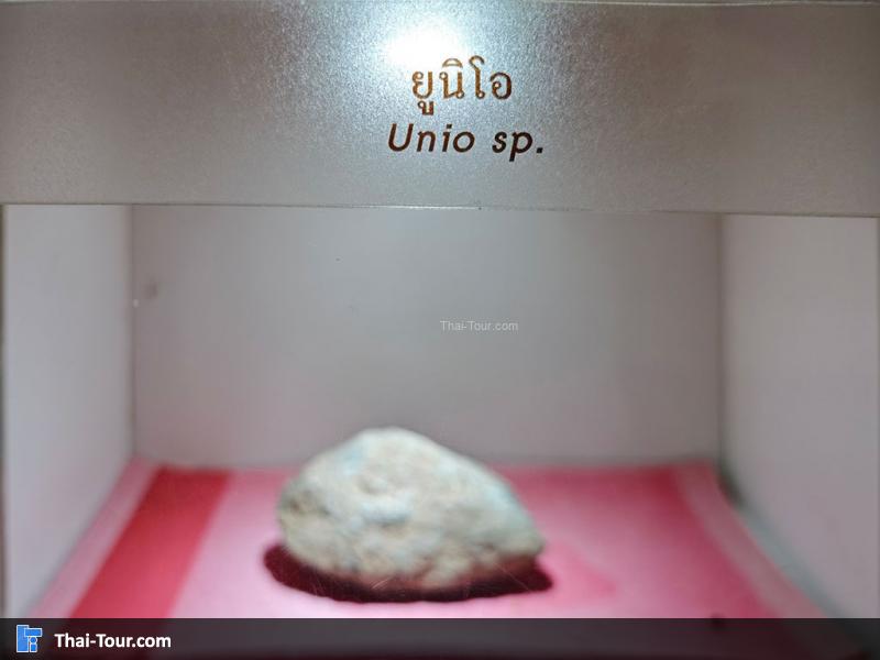 หินชนิดต่าง ๆ