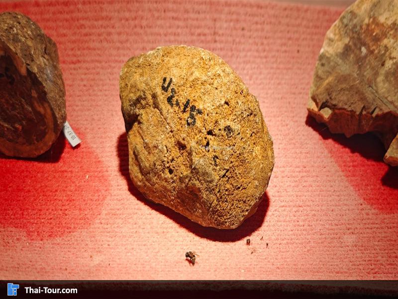 หินชนิดต่าง ๆ