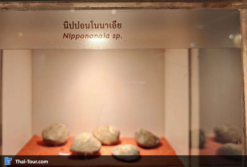 หินชนิดต่าง ๆ