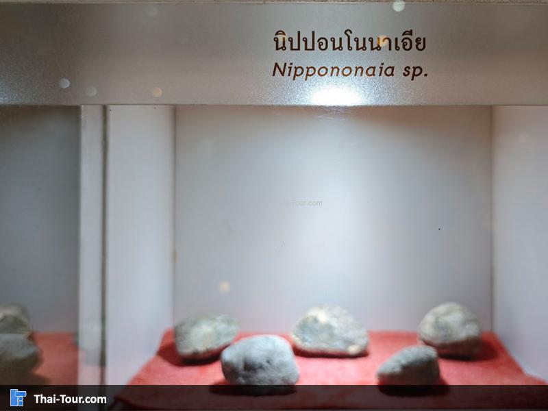 หินชนิดต่าง ๆ