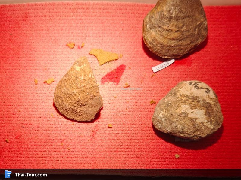 หินชนิดต่าง ๆ