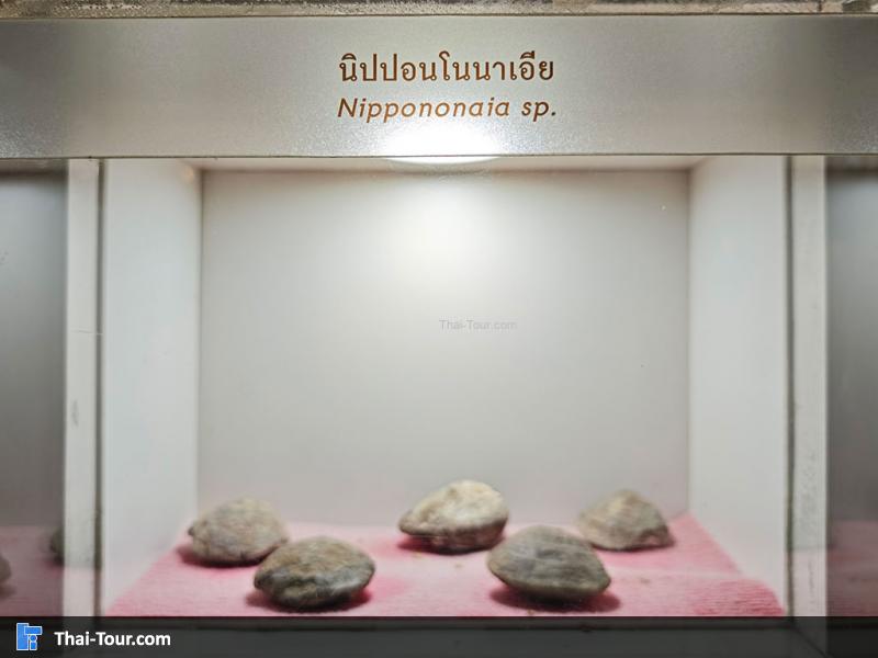 หินชนิดต่าง ๆ