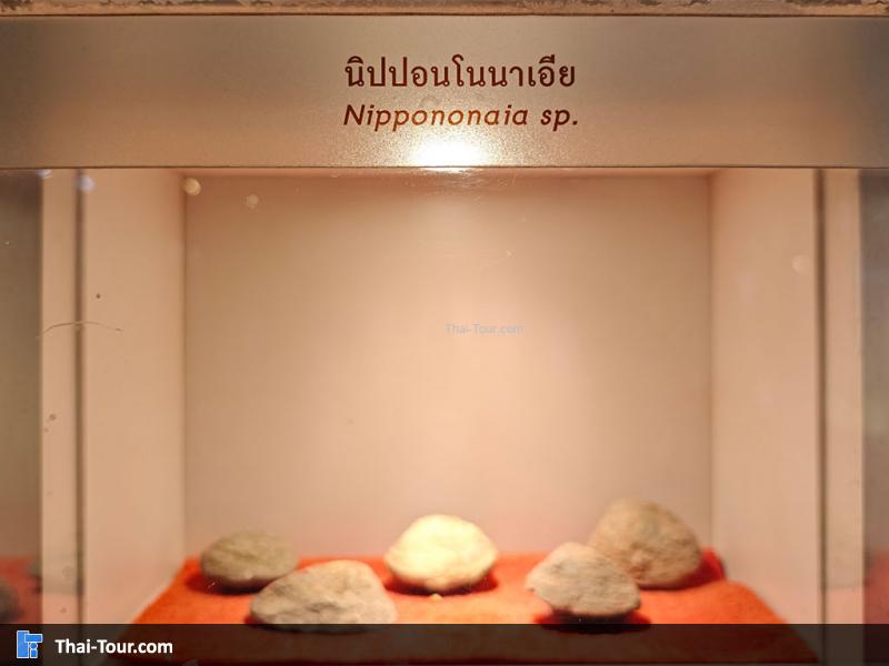 หินชนิดต่าง ๆ