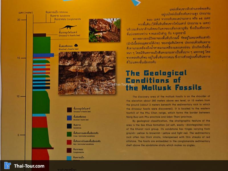 หินชนิดต่าง ๆ