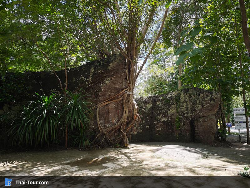 รอบๆของ วัดถ้ำกลองเพล