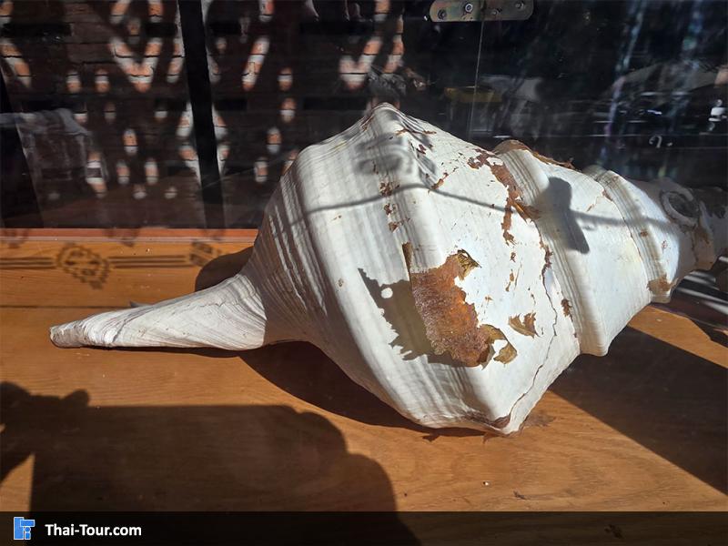 ภายใน พิพิทธภัณฑ์เมืองอุดรธานี