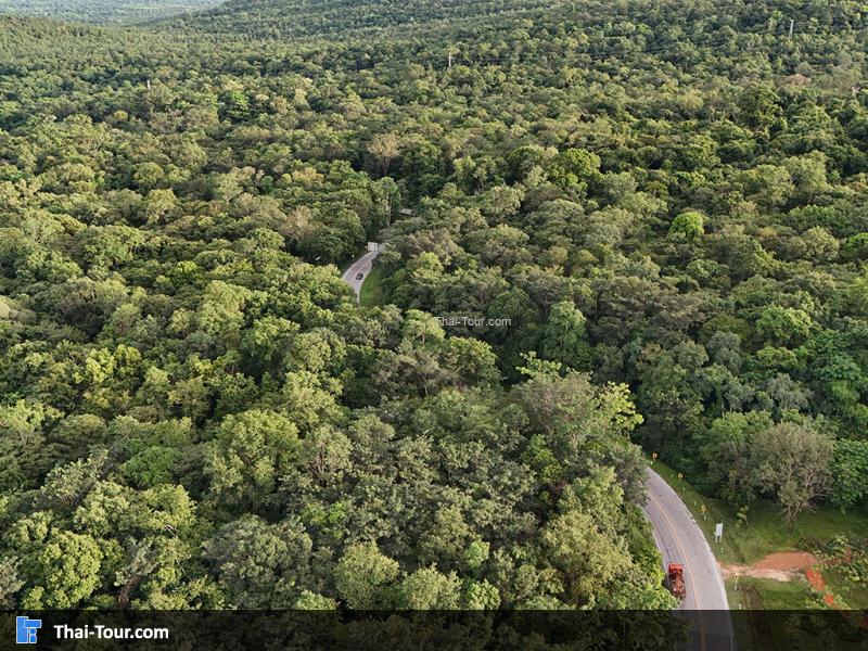 ป้ายโค้งปิ้งงู