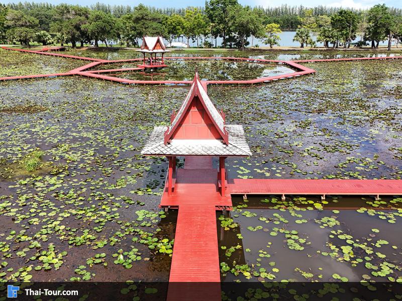 ภาพมุมสูงของอุทยานบัว