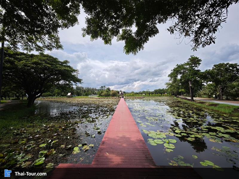 ภาพมุมสูงของอุทยานบัว