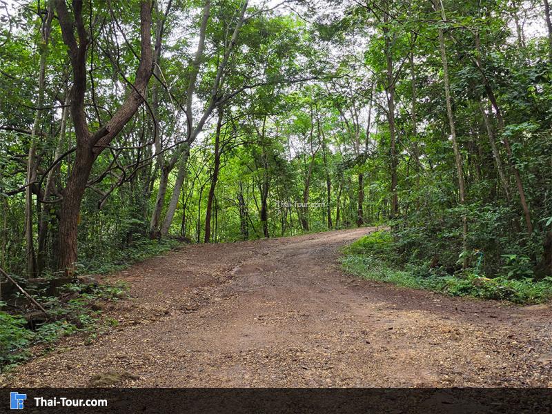 ทางเข้า น้ำตกเก้าชั้น