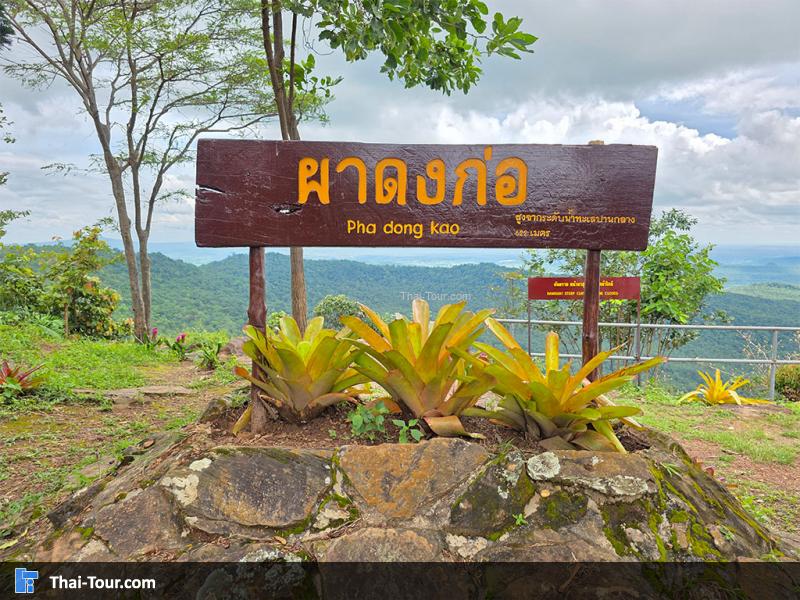 ป้ายผาดงก่อ