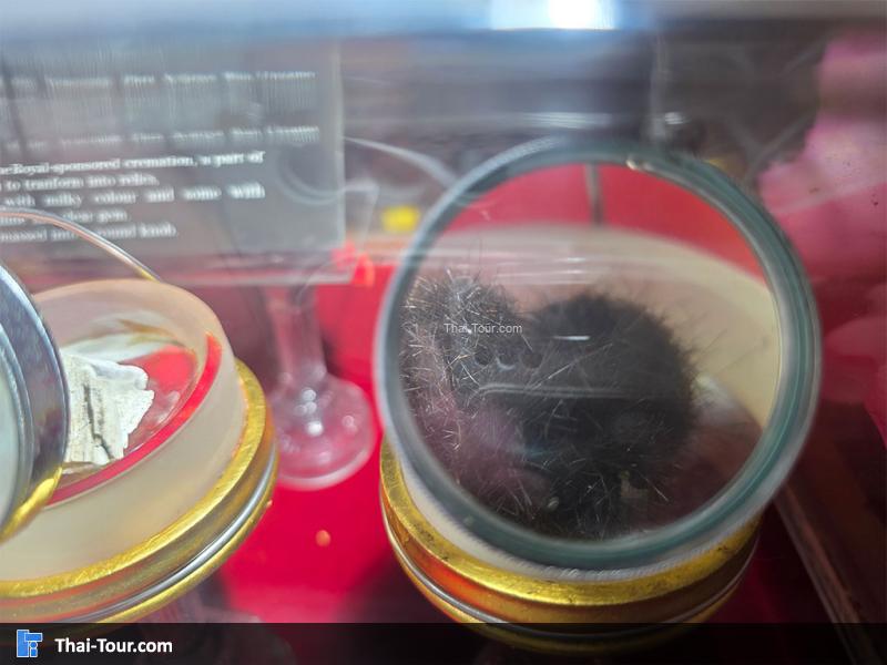 อัฐิ อัฐิธาตุและเกสาท่านพระอาจารย์วัน