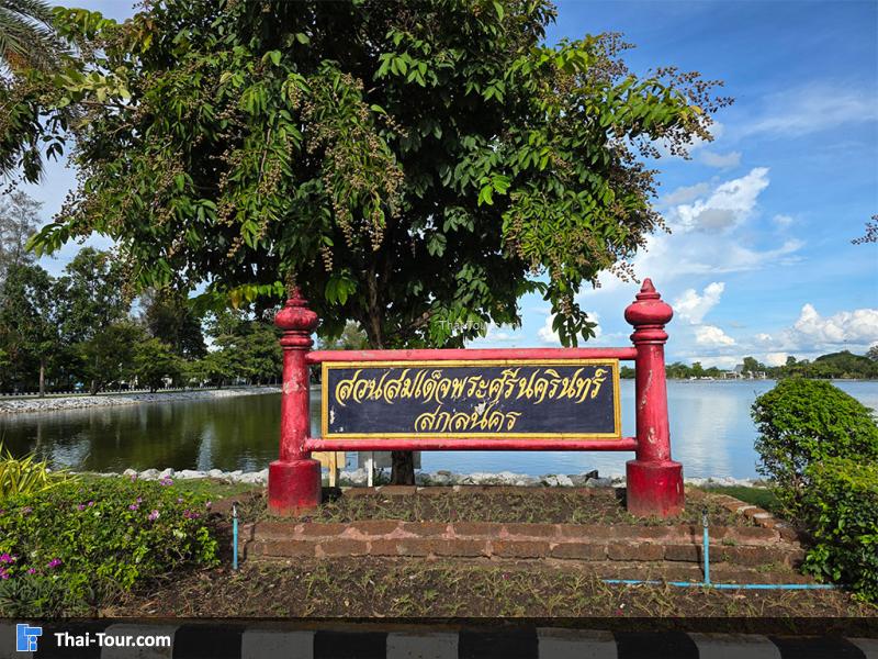 บรรยากาศสวนสมเด็จพระศรีนครินทร์