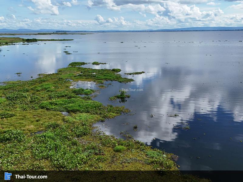 ภาพมุมสูงหนองหาน