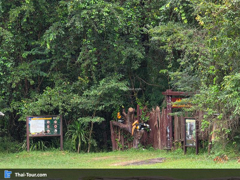 อุทยานแห่งชาติภูผาเหล็ก